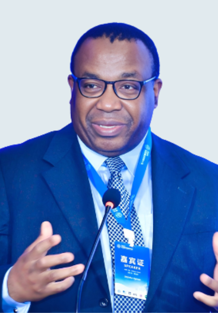 Obijiofor Aginam.png