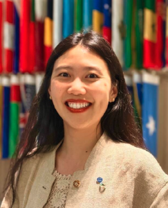 Head of Partnership and UN. Liaison Unit, UNESCO IESALC